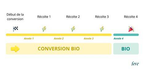 Infographie présentant la chronologie de la conversion bio et biodynamique du domaine