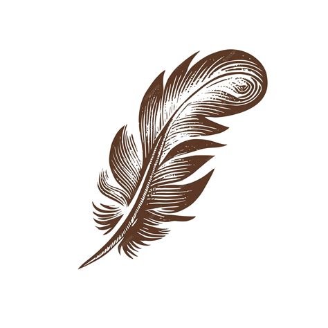 Image stylisée d'une plume d'oiseau
