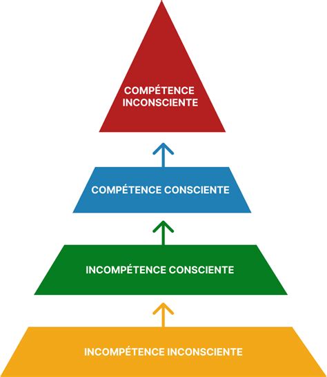 Schéma illustrant la progression de la compétence en joaillerie