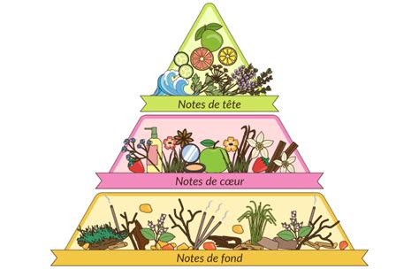Infographie détaillant la pyramide olfactive de Van Cleef & Arpels First.
