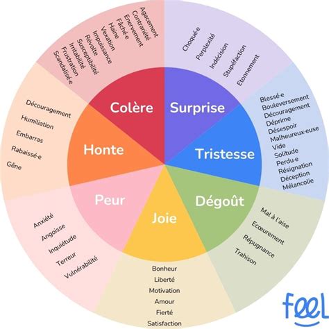 infographie montrant l'association entre couleurs des pierres d'humeur et émotions