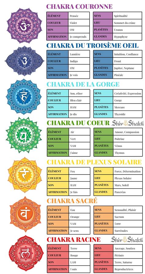 Infographie détaillant les correspondances de l'améthyste avec les chakras supérieurs (couronne, frontal) et ses effets sur le système nerveux