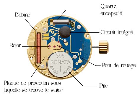 Schéma technique d'une montre à quartz avec indication des composants principaux (boîtier, cadran, aiguilles, mouvement, bracelet)
