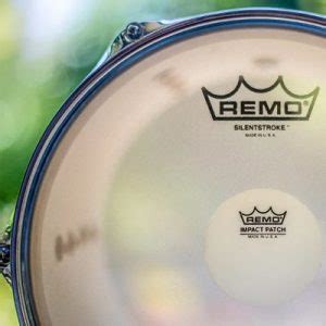 Vue rapprochée des peaux d'une batterie avec des marques comme Evans et Remo