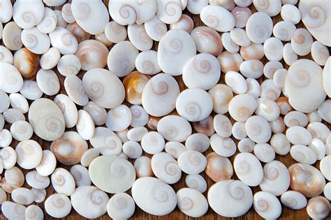 Infographie présentant les différentes vertus de l'Œil de Sainte Lucie en lithothérapie.