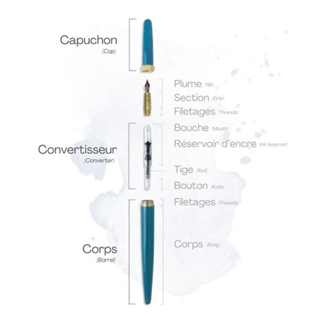 Schéma des différentes parties d'un stylo plume Waterman Gentleman avec détails sur le motif godron et la plume en or.