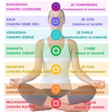 Diagramme des chakras, mettant en évidence les chakras Racine et Sacré sur lesquels l'hématite agit.