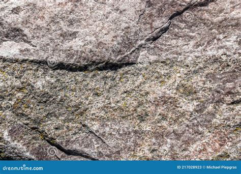 Vue rapprochée d'une