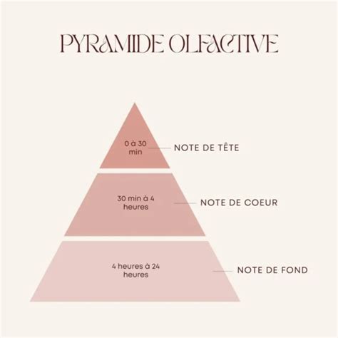 Infographie détaillant la pyramide olfactive de Vertigo Eau de Parfum : notes de tête, de cœur et de fond.